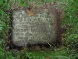 image of grave number 819596